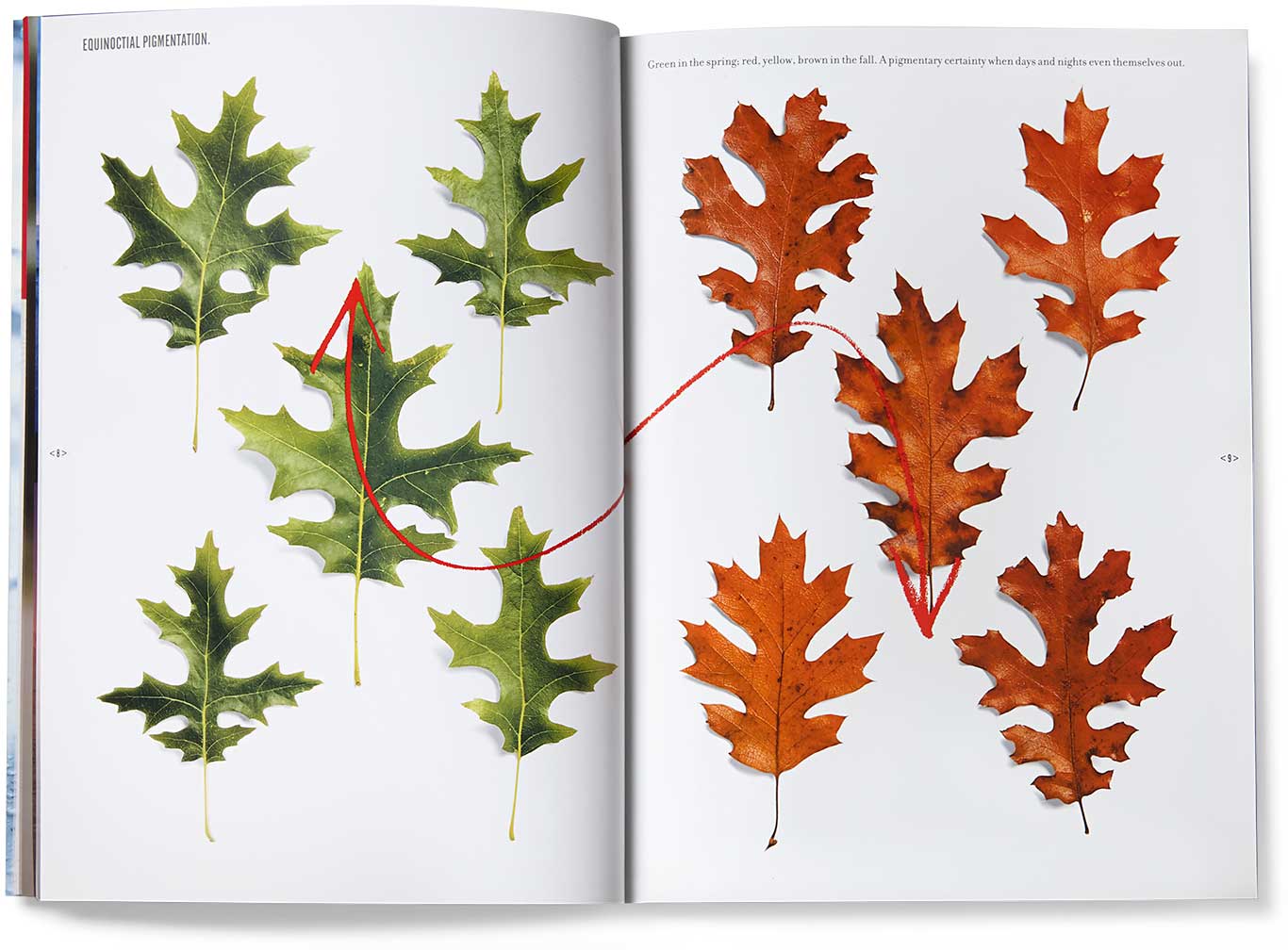 storaenso_depend-productolith-leaves_d.jpg Art Direction by: Bart Crosby, Crosby Associates